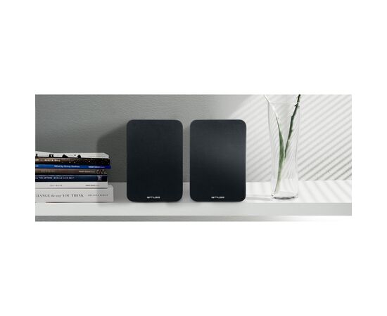 Акустическая система Muse M-620 SH USB Black (M-620 SH), изображение 2