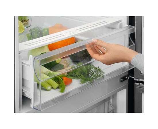Холодильник Electrolux LNT5ME36U1, изображение 5