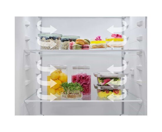 Холодильник Electrolux LNT5ME36U1, изображение 6