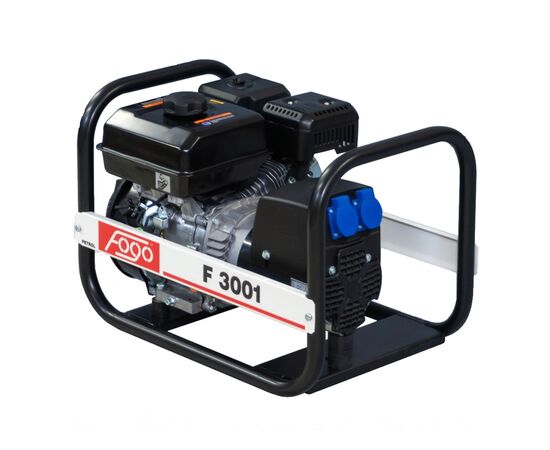 Генератор Fogo F3001