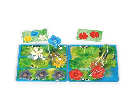 Настольная игра Lord of Boards HUTAN: Жизнь в тропиках (HUTAN: Life in the Rainforest) (укр.) (LOB2411UA), изображение 3