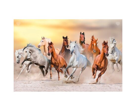 Пазл Tactic Дикие лошади, 1000 элементов (56754), изображение 2