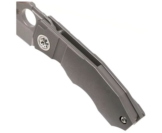 Ніж Spyderco Stovepipe CPM 20CV Titanium (C260TIP), зображення 10
