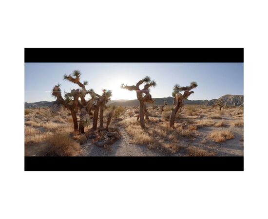 Аксессуар к экшн-камерам GoPro Anamorphic Lens Mod for HERO13 Black (AEWAL-011), изображение 7