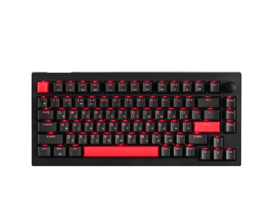 Клавіатура Lemokey Keychron X4 Brown Red LED USB Black (X4-A3-UA)