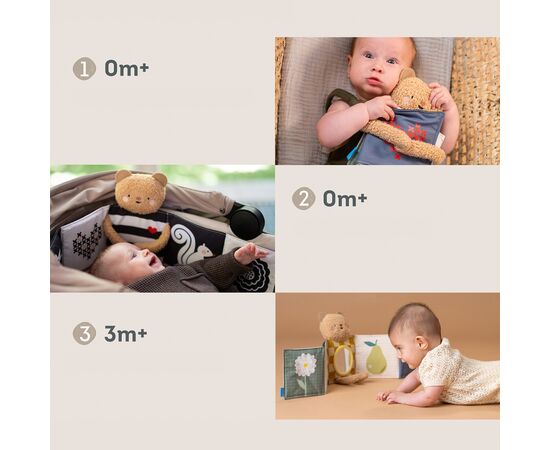 Развивающая игрушка Taf Toys Развивающая книжка Объятия мишки 2 в 1 (13795), изображение 4