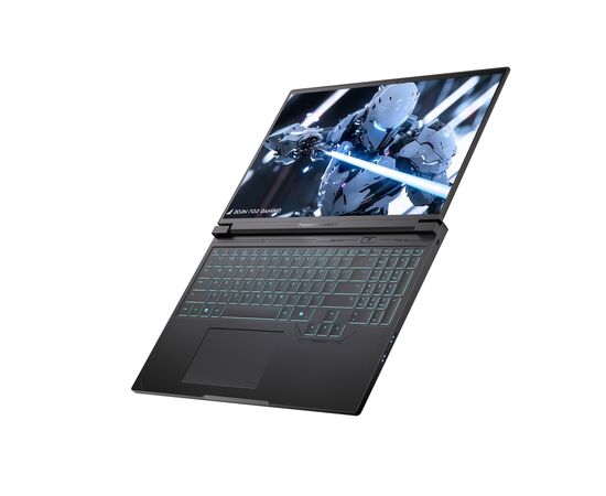 Ноутбук Thunderobot RS16 (RS16-R97945HX57TC1Q240ARB1), зображення 12