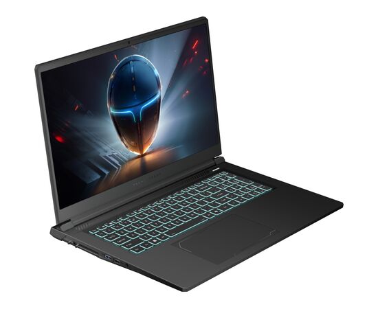 Ноутбук Thunderobot 911 X17 (911X17-i7136H56C1Q165MB), зображення 2