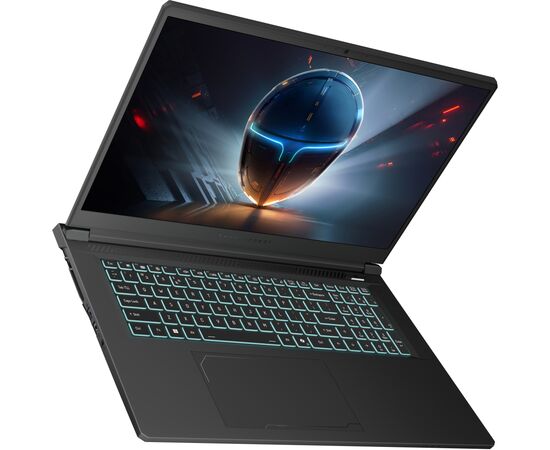 Ноутбук Thunderobot 911 X17 (911X17-i7136H56C1Q165MB), зображення 6