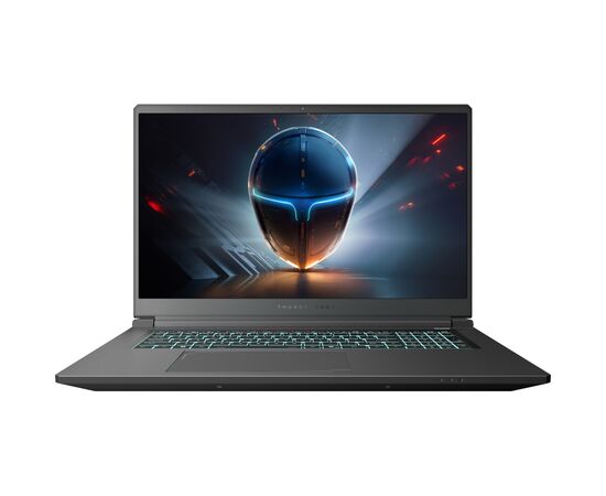 Ноутбук Thunderobot 911 X17 (911X17-i7136H56C1Q165MB)