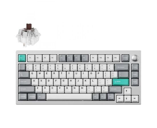 Клавіатура Lemokey P1 Pro Super Brown RGB Wireless/Bluetooth/USB Space Silver (P1P-X3-UA)