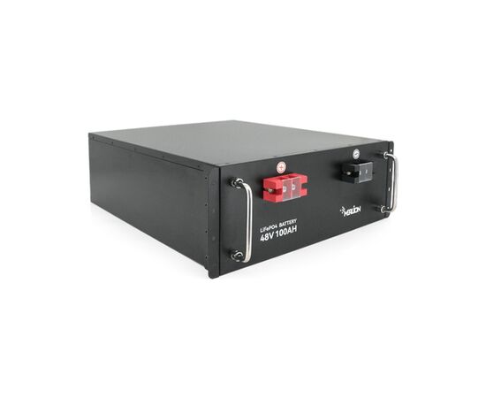 Батарея LiFePo4 Merlion LFP48-100US