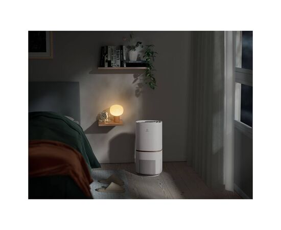 Воздухоочиститель Electrolux EPO50571SW, изображение 5
