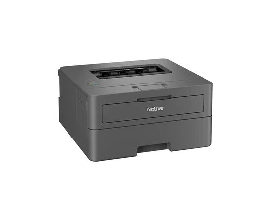 Лазерный принтер Brother HL-L2402DYJ1 (HLL2402DYJ1), изображение 2