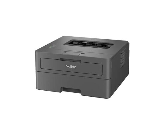 Лазерный принтер Brother HL-L2402DYJ1 (HLL2402DYJ1), изображение 3