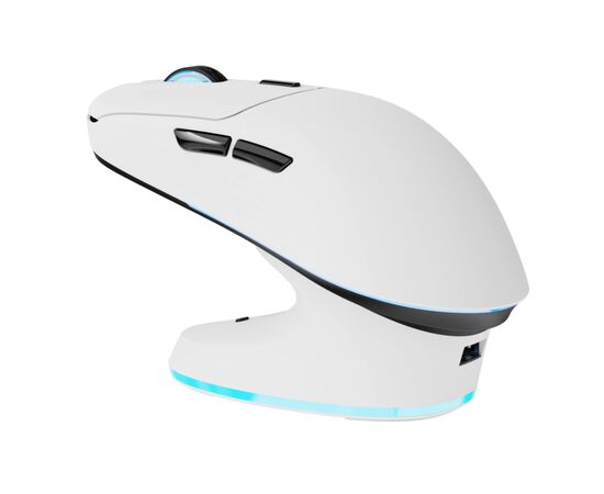 Мышка Thunderobot ML7 Tri-Mode wireless Mous (ML7), изображение 6