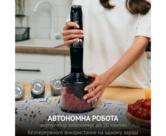 Блендер QUIN RHB-301, изображение 2