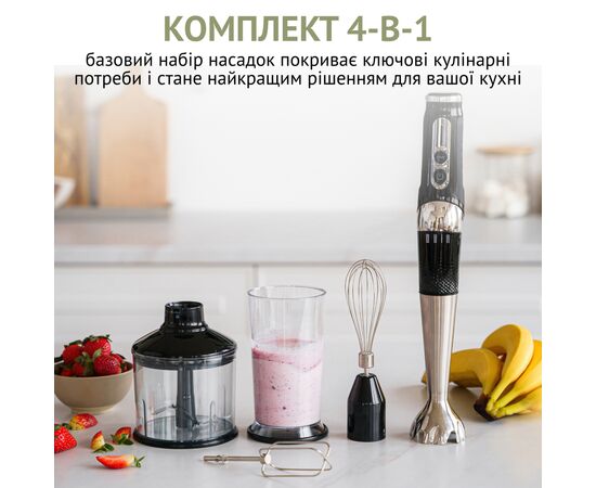 Блендер QUIN RHB-301, изображение 3