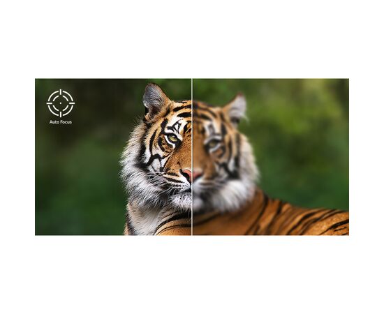 Проектор Acer QH31S pink (MR.JYQ11.001), изображение 8