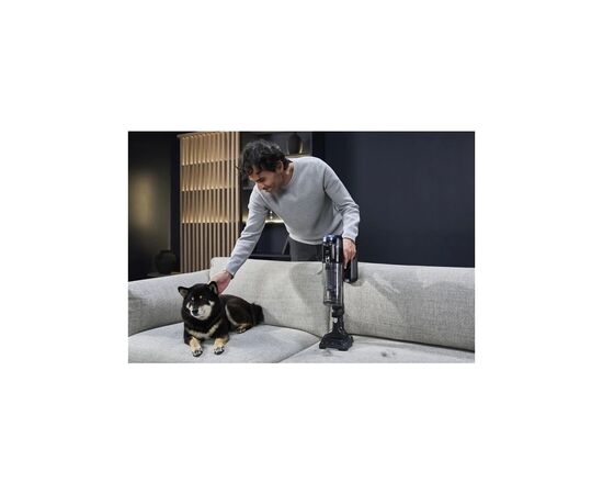 Пылесос Rowenta RH9C71E0, изображение 9