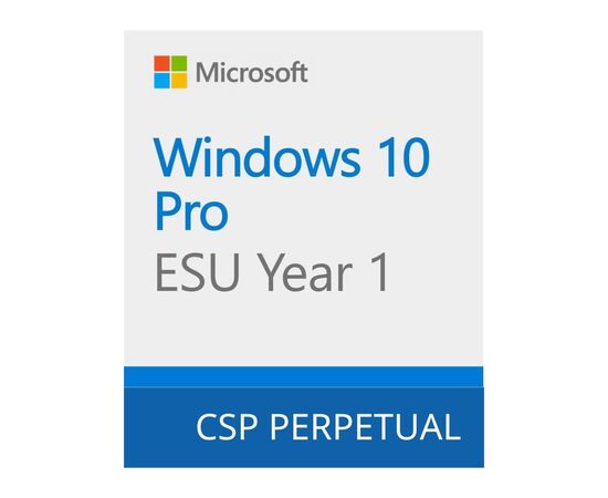 Операционная система Microsoft Windows 10 ESU Year 1 (2025 - 2026) Extended Security Updates (ESU) (DG7GMGF0SSGZ_0004)