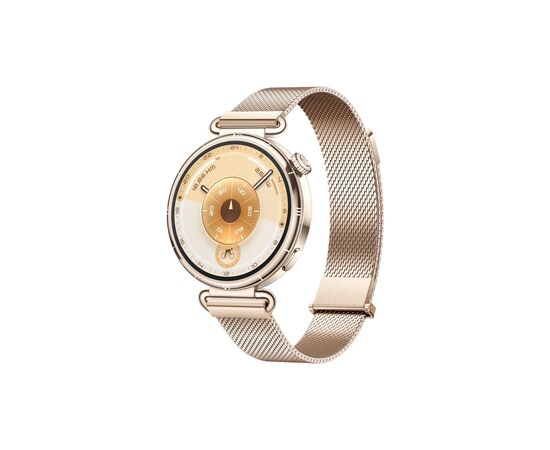 Смарт-часы Huawei WATCH GT 6 41mm Gold Milanese (55020FTP)