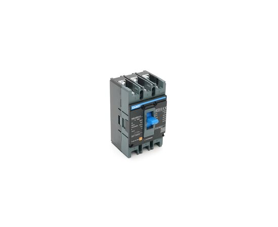 Автоматичний вимикач CHINT NXM-125S-3300-100A