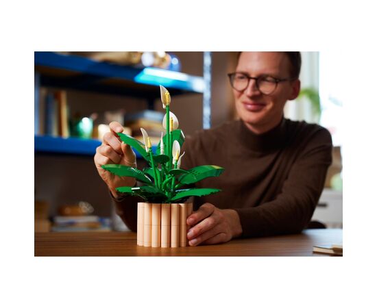 Конструктор LEGO Botanicals Спатифиллум (11504), изображение 10