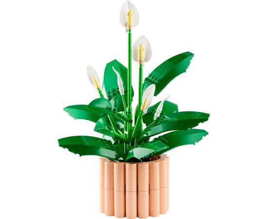 Конструктор LEGO Botanicals Спатифиллум (11504), изображение 2
