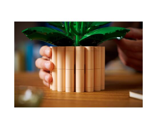 Конструктор LEGO Botanicals Спатифиллум (11504), изображение 9