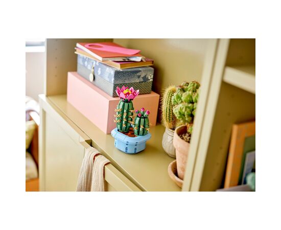 Конструктор LEGO Botanicals Цвітіння кактуса (11509), зображення 10