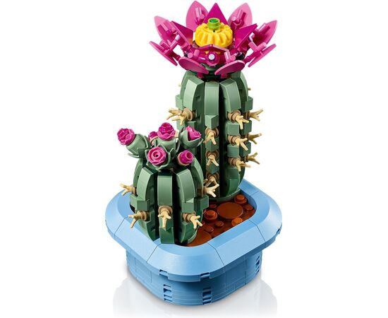 Конструктор LEGO Botanicals Цвітіння кактуса (11509), зображення 5