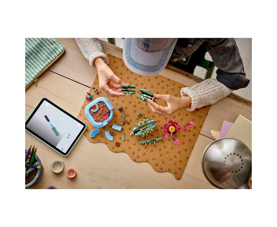 Конструктор LEGO Botanicals Цвітіння кактуса (11509), зображення 8