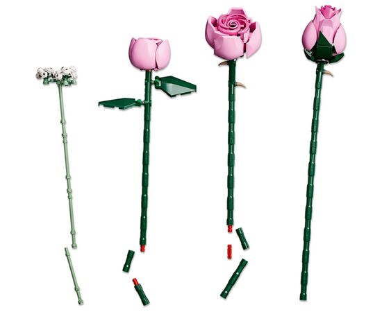 Конструктор LEGO Botanicals Букет рожевих троянд (10374), зображення 5
