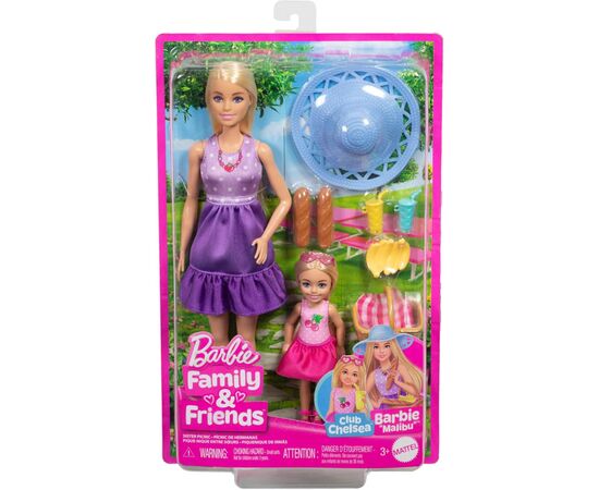 Кукла Barbie Набор с куклами Барби и Челси "Семейный пикник" (JBF43), изображение 6