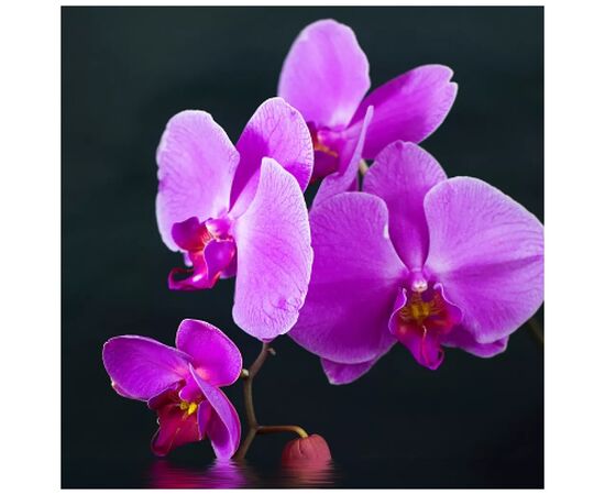 Обогреватель Trio Фіолетовий настрій (RL075580), изображение 9