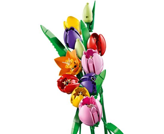 Конструктор LEGO Botanicals Букет тюльпанов (11501), изображение 3
