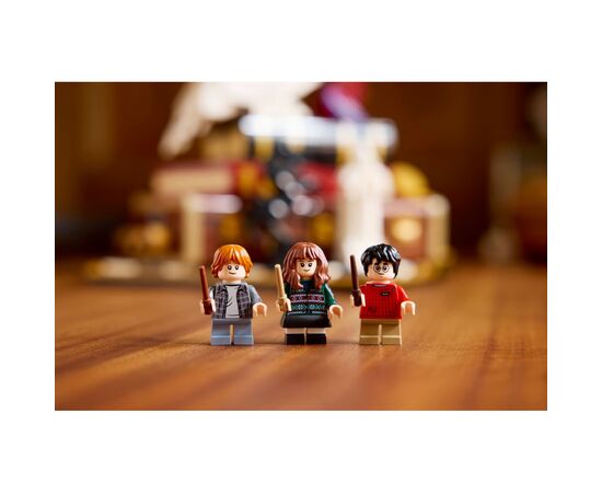 Конструктор LEGO Harry Potter Философский камень. Коллекционный набор (76466), изображение 11