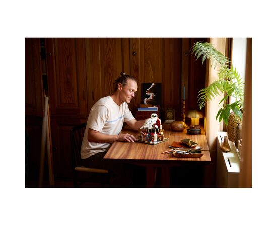 Конструктор LEGO Harry Potter Философский камень. Коллекционный набор (76466), изображение 9