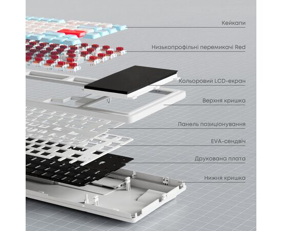 Клавиатура Ajazz AKP815 RGB Red Switch USB UA White/Blue (AKP815-R-WBO), изображение 12