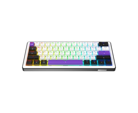 Клавіатура Hator Hellyberry HK60 Mechanical Linear RGB Wireless/Bluetooth/USB UA White/Violet (HK60_wireless), зображення 2