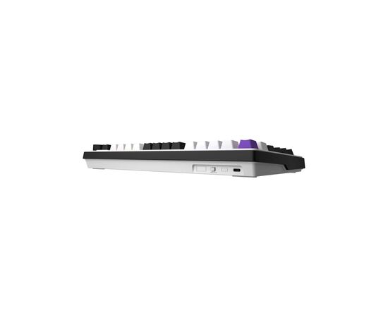 Клавиатура Hator Hellyberry HK75 Mechanical Linear RGB USB UA White/Violet (HK75), изображение 5