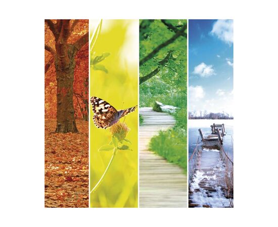 Датчик температуры EMOS E0042, изображение 11