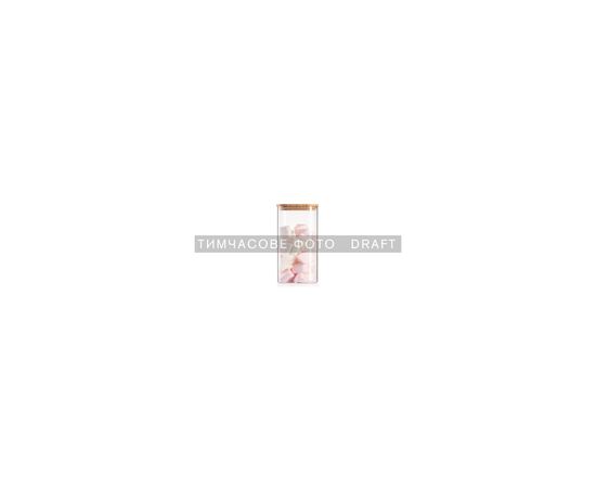 Емкость для сыпучих продуктов Ardesto Midori 1000мл, скло, бамбук, квадратна, прозорий (AR1310BBS)