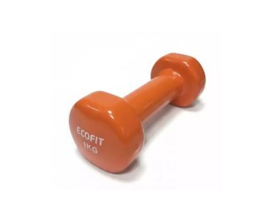 Гантель Ecofit MD2025 з вініловим покриттям 1 кг (K00026984)