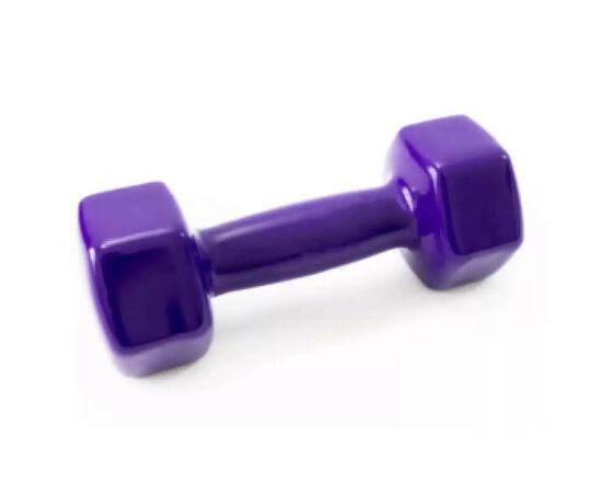 Гантель Ecofit MD2025 з вініловим покриттям 4 кг (K00026987)