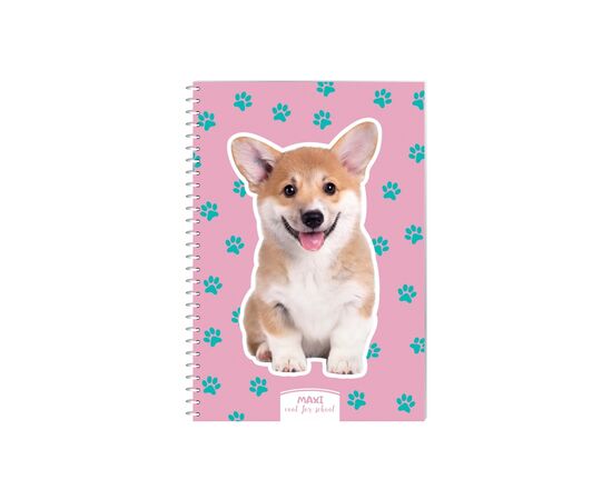 Блокнот Maxi А5, пластикова обкладинка, спіраль, 60 арк., клітинка (MX21213-13)