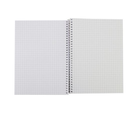 Блокнот Maxi А5, пластикова обкладинка, спіраль, 80 арк., клітинка (MX21950-01), зображення 2