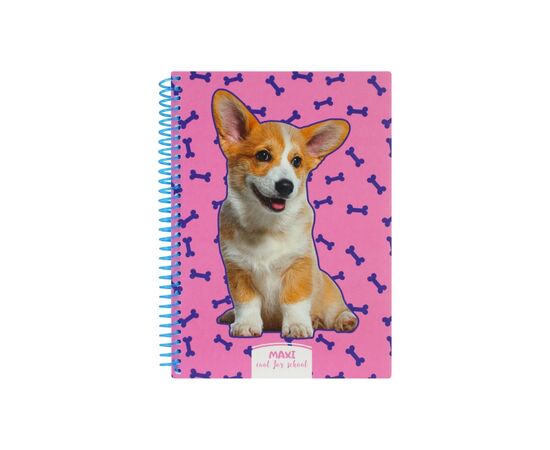 Блокнот Maxi А5, пластикова обкладинка, спіраль, 80 арк., клітинка (MX21950-03)