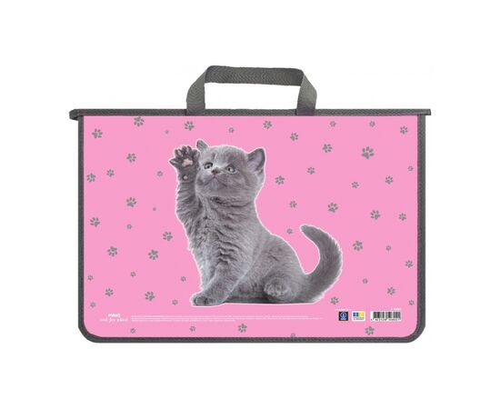 Папка - портфель Maxi А4 пластиковый на молнии (MX30059)